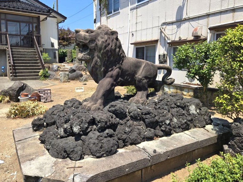柏崎市の春口さんら 小川由廣のライオン像移設プロジェクト | 柏崎日報社
